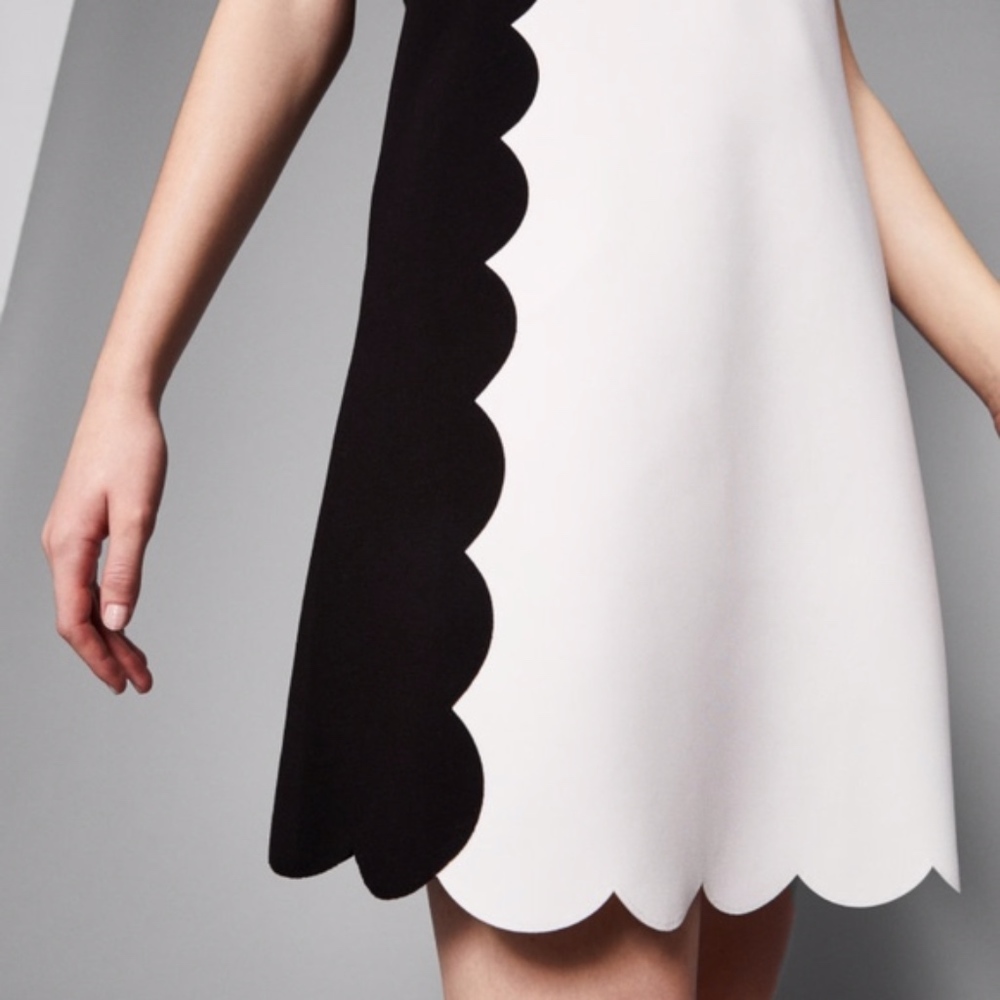 New Ted Baker Black and White Berii Dress - Picture 5 of 5